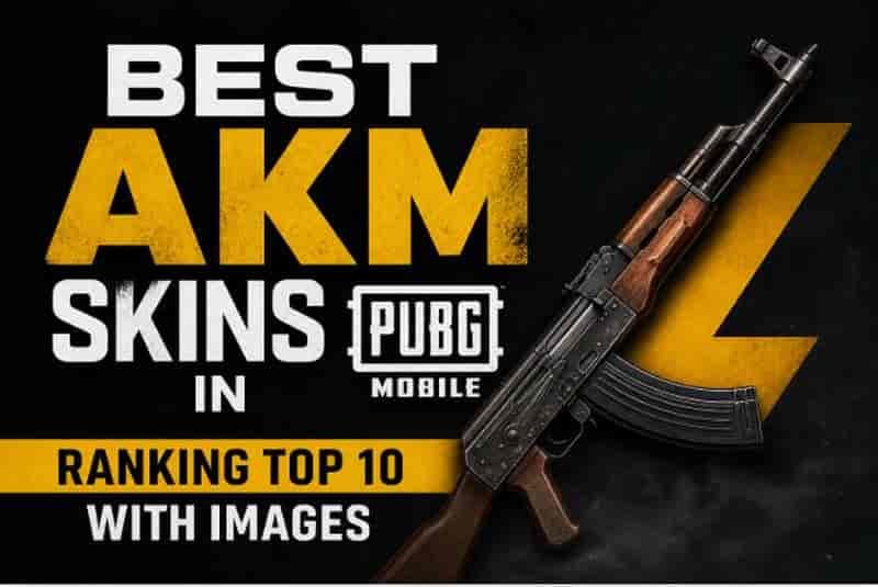 Best AKM Skins in PUBG Mobile: Ranking Top 10 With Images